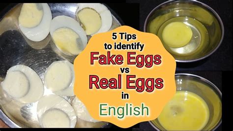 i was literally holding a fake egg while watching|real eggs vs artificial egg.